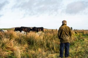 A farmer engaging with a cow on the farm, illustrating the deep connection to farm life, supported by live-in care for farmers.